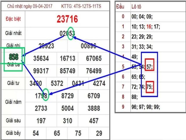 Soi bạch thủ lô theo hình quả trám