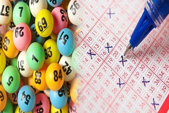 Bắt bạch thủ lô cực kỳ đơn giản với đuôi câm