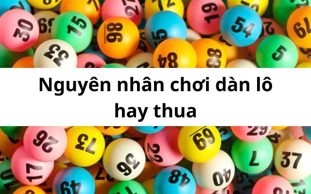 cách chơi dàn lô mb không sợ lỗ
