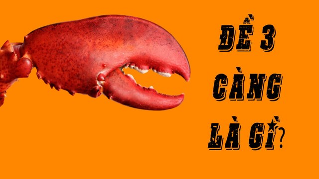 Kỹ thuật soi cầu MB đơn giản và hiệu quả